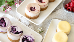 Mini Cheesecake Mischkiste, 3-fach sortiert