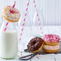 Doony's Mini Donut Box ungefüllt, 3-fach - 3
