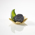 Mischkarton Pidy Tartelettes "Canapé"