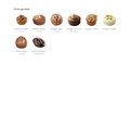 Mischkarton "Nougat-Pralinen" - 4