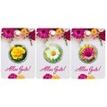 Vollmilchtaler "Alles Gute"