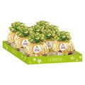 Grand Ferrero Rocher "Ostern", 125 g - 2