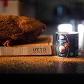 Hela Beef Brisket Rub, 450 g - 1