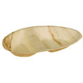 Palmblatt-Ellipse 2-teilig, naturesse, 26 x 16 cm