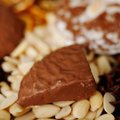 Elisen Lebkuchenkonfekt "Vollmilch" im Beutel - 1