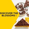 Mona Lisa Blossoms dark Chocolate, 2,5kg - 3