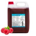 ICE BÄR Slush Eis Sirup "Himbeere", 5 l
